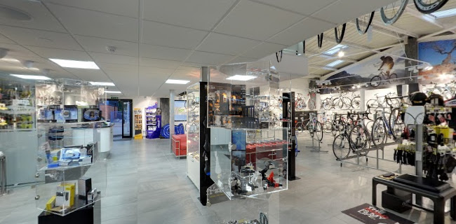 Cycle Evolution - Bicycle store