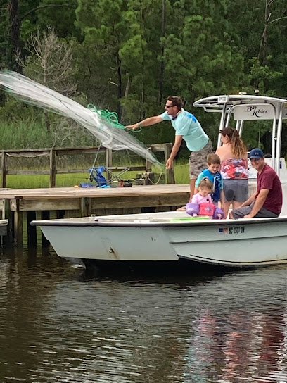 Sandbar Safari