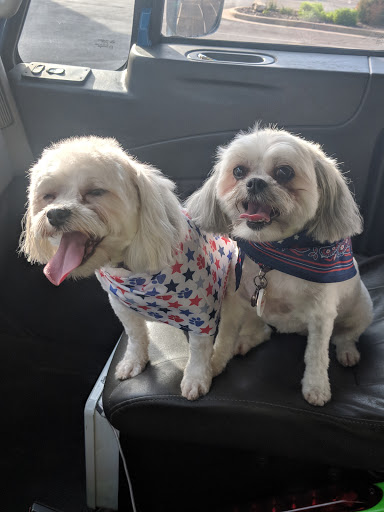 Pet Supply Store «PetSmart», reviews and photos, 4142 Commonwealth Ave, Eau Claire, WI 54701, USA