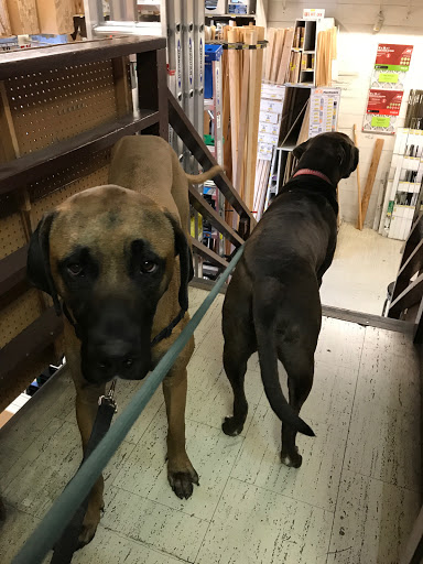 Hardware Store «Laurel Ace Hardware», reviews and photos, 4024 MacArthur Blvd, Oakland, CA 94619, USA