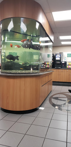 Toyota Dealer «Maplewood Toyota», reviews and photos, 2873 Maplewood Dr, Maplewood, MN 55109, USA