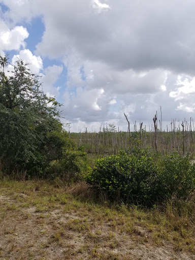 Nature Preserve «Loxahatchee Slough Natural Area», reviews and photos, 9060 W Indiantown Rd, Jupiter, FL 33478, USA