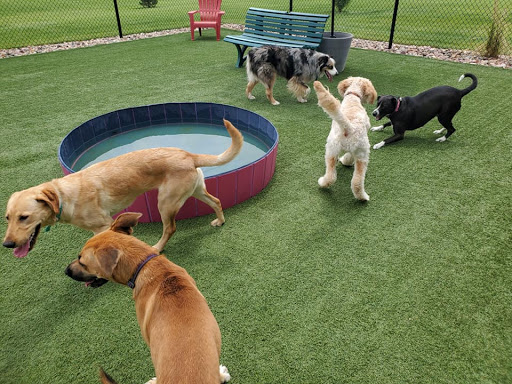 K-DOGS Pet Lodge, LLC