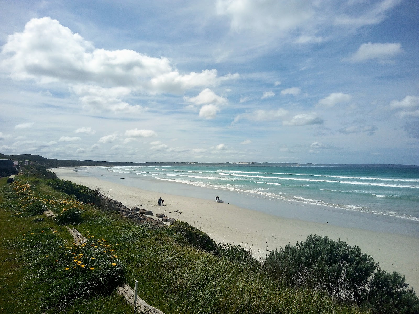 Zdjęcie Shelly Beach, Victoria obszar udogodnień