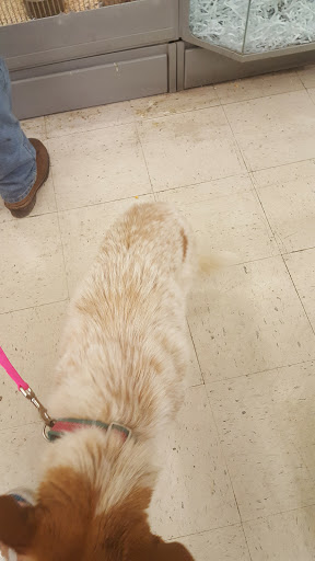 Pet Store «Petsway», reviews and photos, 1717 W Kearney St, Springfield, MO 65803, USA