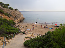 Photo de Cala Penya Tallada avec un niveau de propreté de très propre