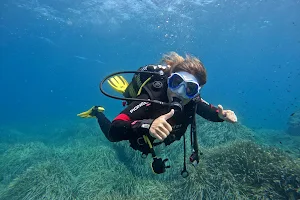 Vadum Maris Diving & Watersports image