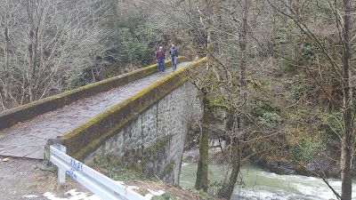 Photos of Micron Bridge