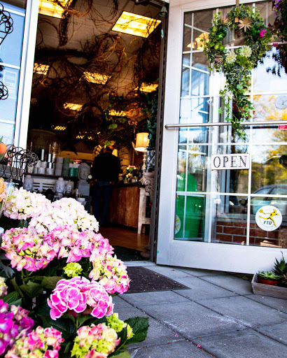Florist «Stephanies Flowers Of Chestnut Hill», reviews and photos, 1004 W Roxbury Pkwy, Chestnut Hill, MA 02467, USA
