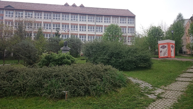 Opinii despre Școala Generală Móra Ferenc în <nil> - Școală