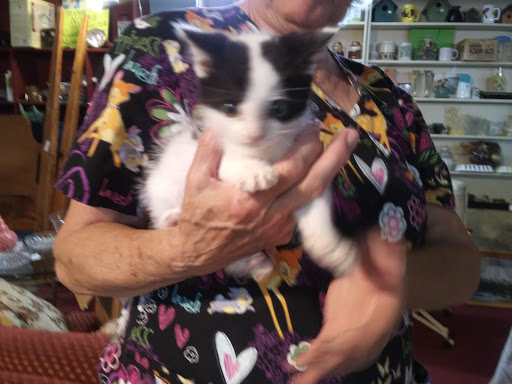 Consignment Shop «Riverbend Resale Shop», reviews and photos, 799 N Old St Louis Rd, Wood River, IL 62095, USA