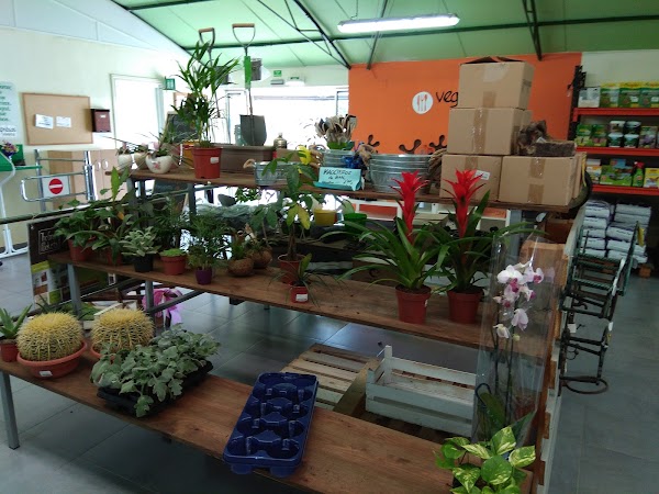 VEGAPRESAS, Jardineria,Vivero y Catering