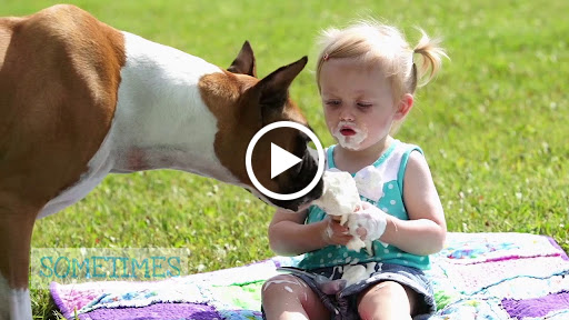 Ice Cream Shop «The Fat Donkey Ice Cream and Fine Desserts», reviews and photos, 247 Minutemen Causeway, Cocoa Beach, FL 32931, USA
