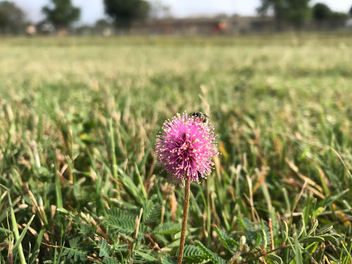 Park «Gilbert Garza Park», reviews and photos, 1450 Mira Vista, San Antonio, TX 78228, USA