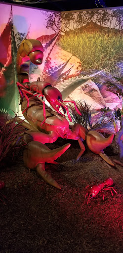 Museum «Delaware Agricultural Museum», reviews and photos, 866 N Dupont Hwy, Dover, DE 19901, USA