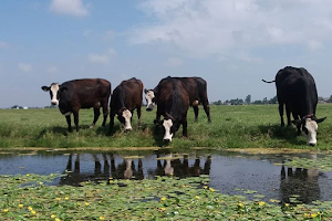 Boerderij Boterhuys image