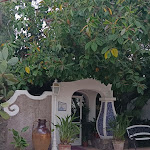 Photo n°1 de l'avis de rosanna.f fait le 01/05/2024 à 07:52 sur le  Central Park Terme à Ischia