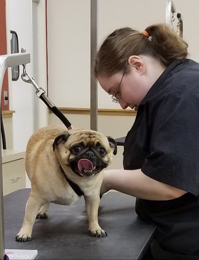 Pet Supply Store «Pet Supplies Plus», reviews and photos, 425 Water St, Chardon, OH 44024, USA