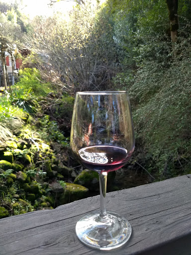 Winery «Chouinard Vineyards & Winery», reviews and photos, 33853 Palomares Rd, Castro Valley, CA 94552, USA