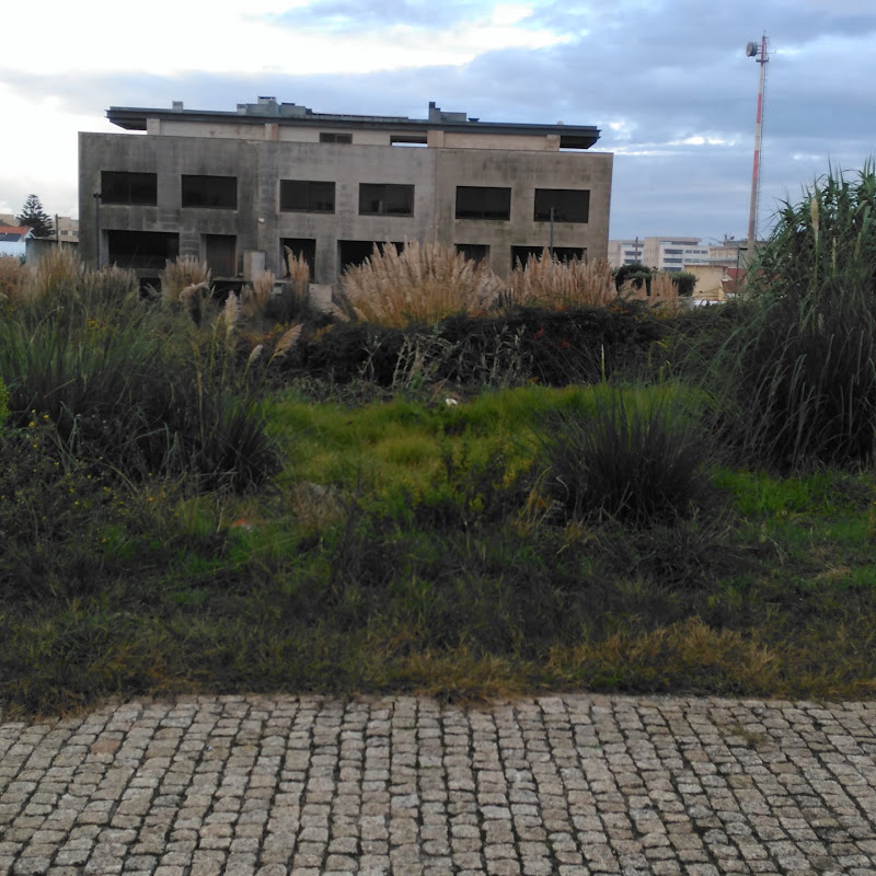 Lda., Gerações Meireles