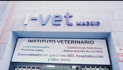 I-VET MADRID Instituto Veterinario