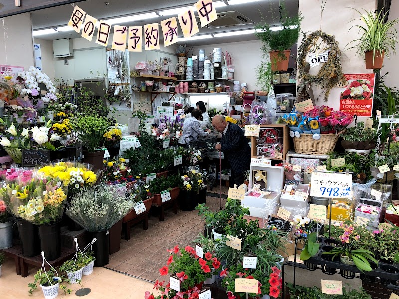 Flower shop POPIA