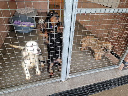 East Midland Dog Rescue