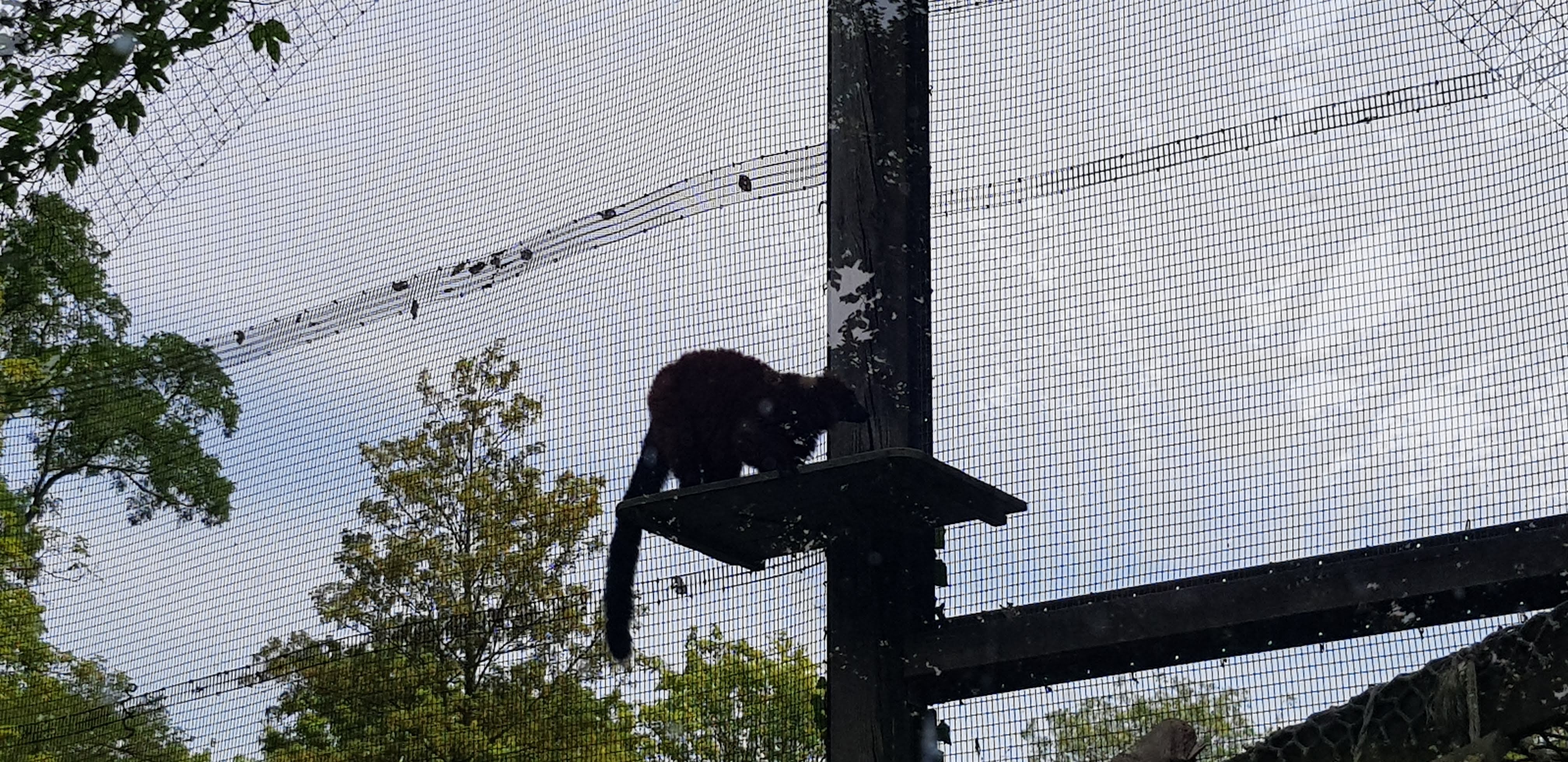 Photo n° 21 de l'avis de Nuk3d.t fait le 13/10/2019 à 18:58