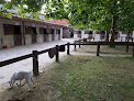 Centre Equestre L'Etrier Fontenaisien Fontenay-le-Comte