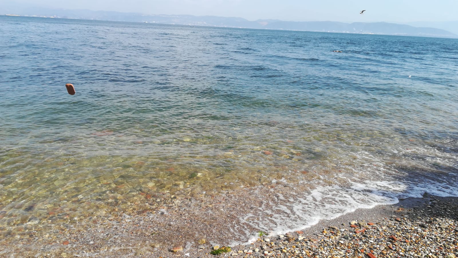 Darıca Plajı II'in fotoğrafı kısmen temiz temizlik seviyesi ile