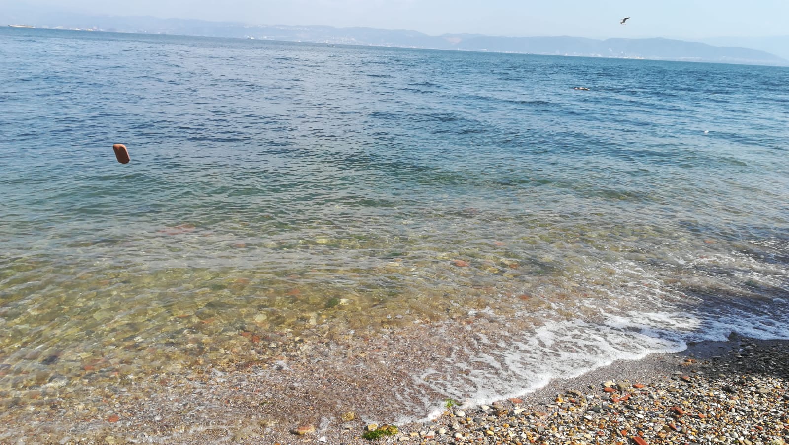 Darıca Plajı II'in fotoğrafı imkanlar alanı