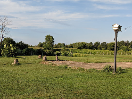 Winery «Belgian Horse Winery», reviews and photos, 7200 W County Rd 625 N, Middletown, IN 47356, USA