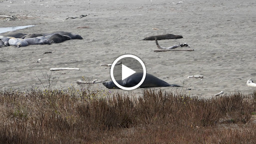 Supermarket «Stater Bros. Markets», reviews and photos, 8770 Base Line Rd, Alta Loma, CA 91701, USA