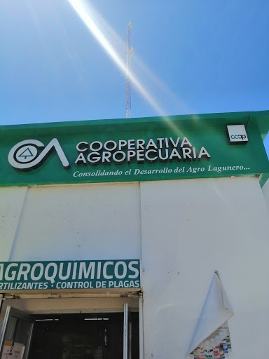 Banco cooperativo Torreón