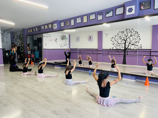 Escuela de Danza Shamsia