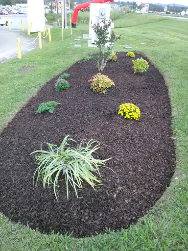 Fast Food Restaurant «Sonic Drive-In», reviews and photos, 2917 KY-1629, Corbin, KY 40701, USA