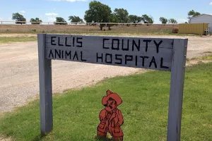Ellis County Animal Hospital image