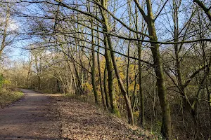 Boggart Hole Clough image