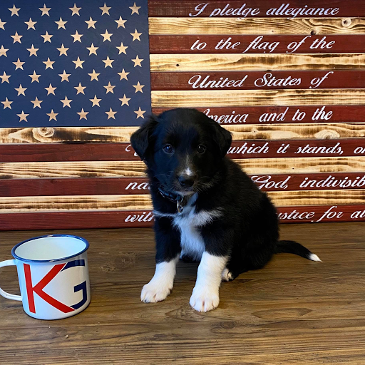 Carpet Cleaning Service «KG Cleaning Service Inc.», reviews and photos, 30 Industrial Park Rd #200, Dawsonville, GA 30534, USA