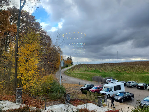 Winery «Dablon Vineyards & Winery», reviews and photos, 111 W Shawnee Rd, Baroda, MI 49101, USA