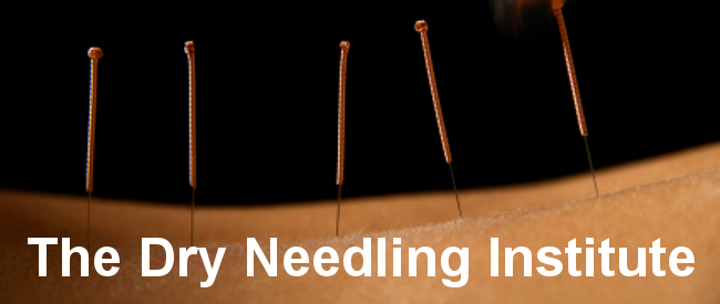 The Dry Needling Institute