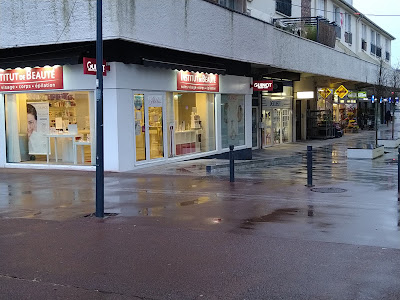 Institut Abelia à Maurepas