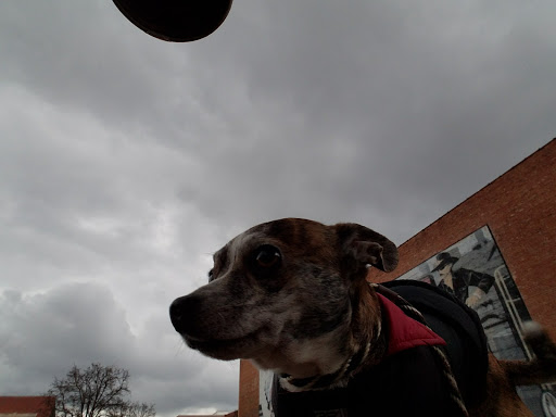 Community Center «Downtown Center», reviews and photos, 810 State St, Bristol, TN 37620, USA