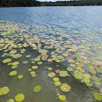 Photo n° 1 de l'avis de Ludivine. fait le 31/07/2023 à 07:55 pour Réserve Naturelle Nationale d'Arjuzanx à Morcenx-la-Nouvelle