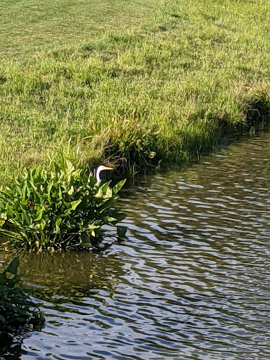 Golf Course «Coyote Run Golf Course», reviews and photos, 800 Kedzie Ave, Flossmoor, IL 60422, USA