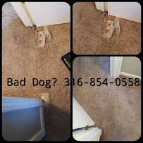 Be Amazed Carpet Cleaning - Photo 2 - Car repair in , Wichita