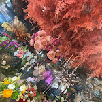 Photo n° 1 de l'avis de Théo.h fait le 08/08/2023 à 13:06 pour Et fleur et moi Champion De France Des Fleuristes - Fleuriste Perpignan à Villeneuve-de-la-Raho