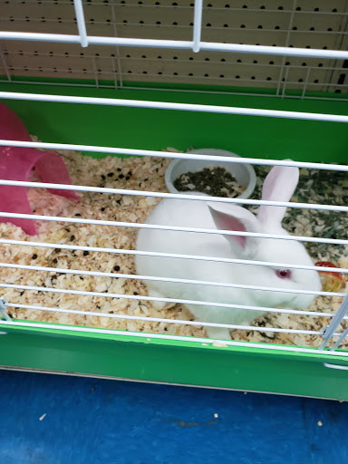 Pet Store «V.I. Pets», reviews and photos, 11975 E Lakewood Blvd, Holland, MI 49424, USA