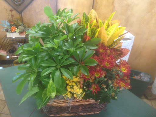 Florist «Pletschers», reviews and photos, 641 Old Hwy 8 SW, New Brighton, MN 55112, USA