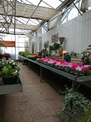 JARDIN DE TOSCANE - Fleurs | Paysagiste | Horticulteur | Pépiniériste à Craon
